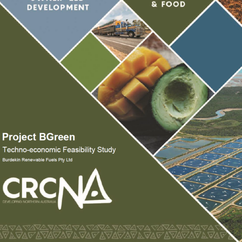 Project BGreen: Techno-economic feasibility study