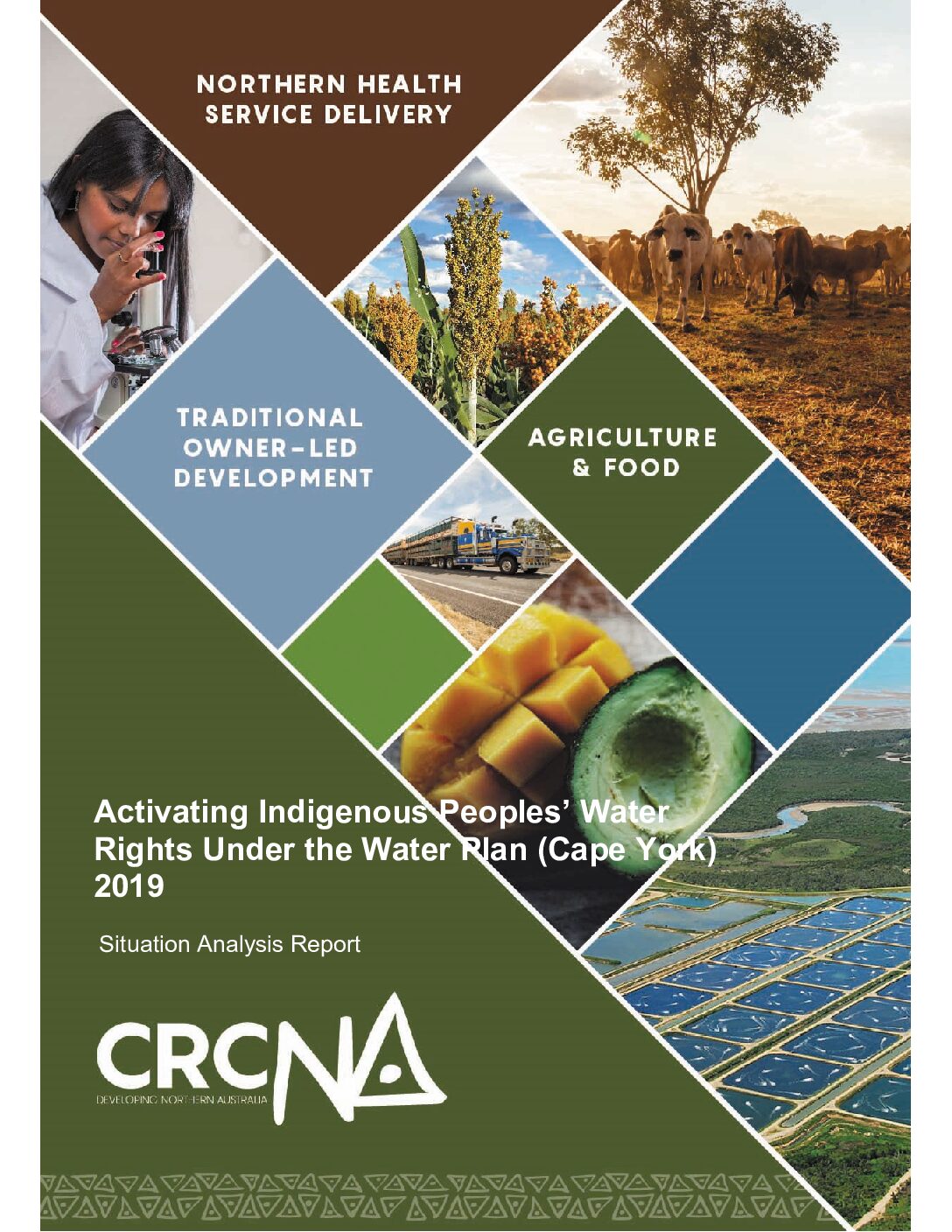 Activating Indigenous Peoples Water Rights Under the Cape York Water Plan (Cape York) 2019