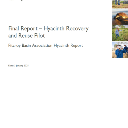 Final Report – Hyacinth Recovery and Reuse Pilot