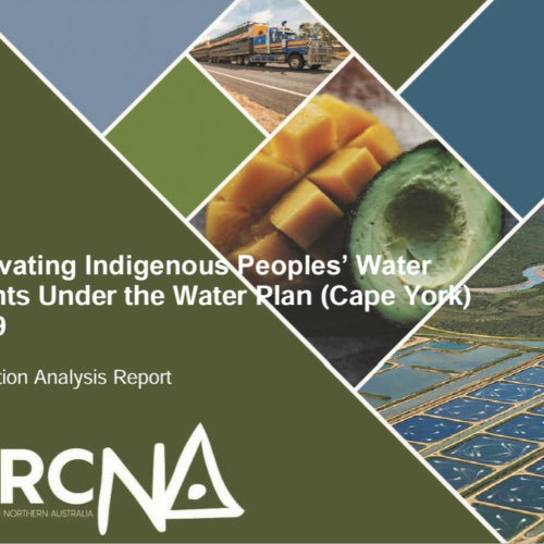 Situational Analysis – Activating Indigenous Peoples’ Water Rights Under the Water Plan (Cape York) 2019