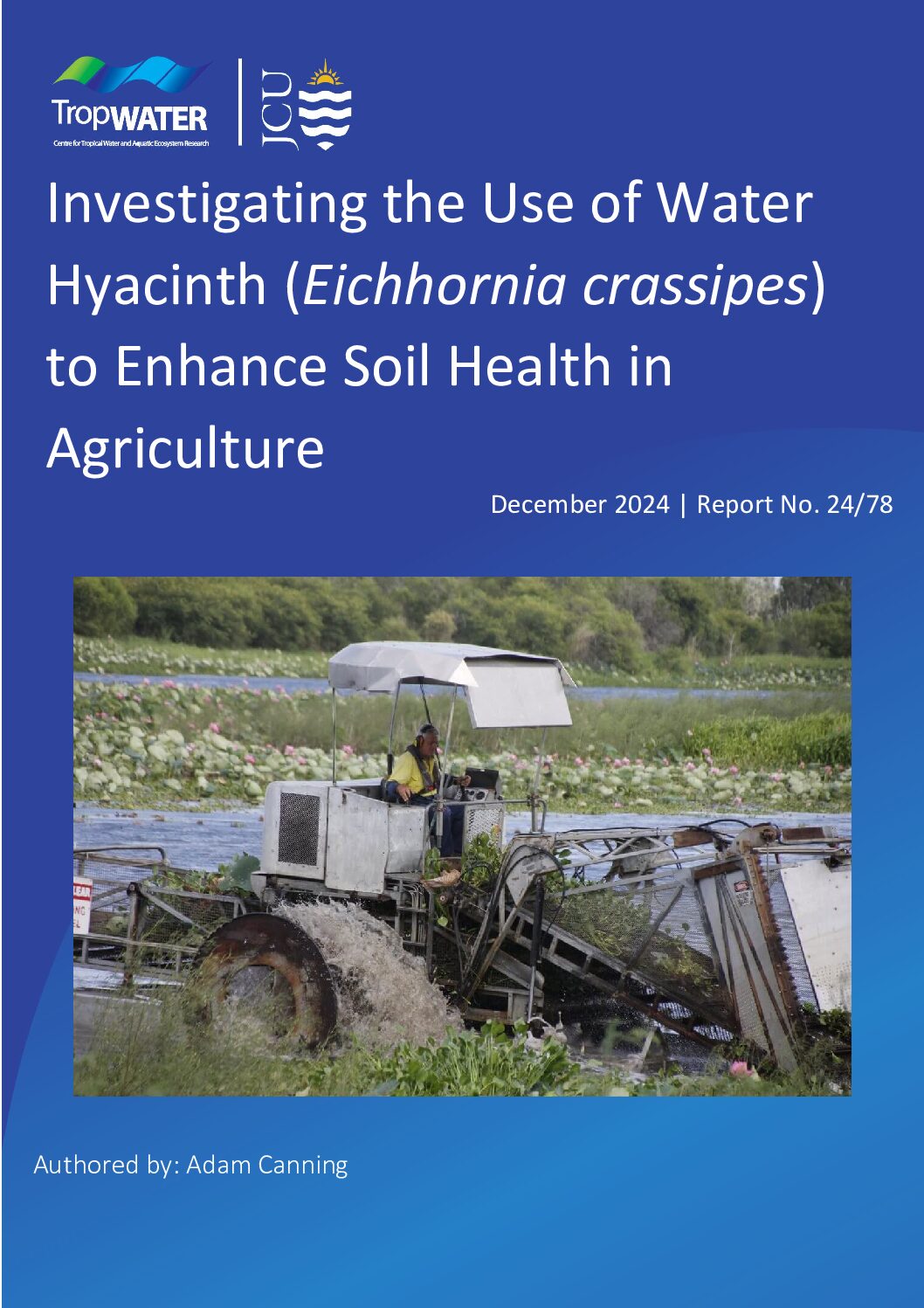 Investigating the Use of Water Hyacinth to Enhance Soil Health in Agriculture